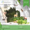 LAS - Zestaw edukacyjny 3D