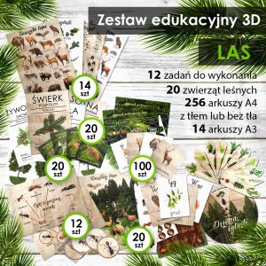 LAS - Zestaw edukacyjny 3D