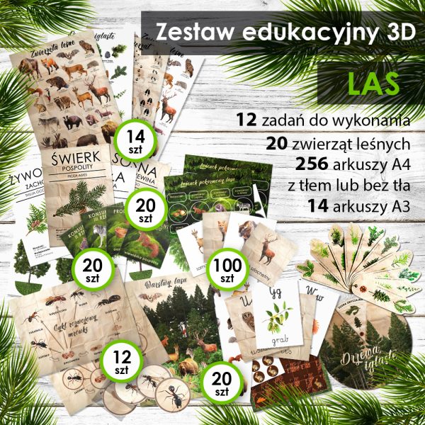 LAS - Zestaw edukacyjny 3D