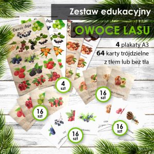 LAS - Zestaw edukacyjny - Owoce lasu