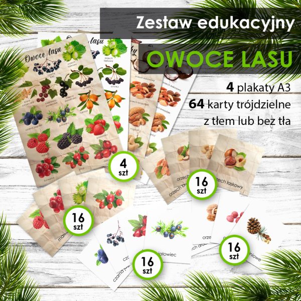 LAS - Zestaw edukacyjny - Owoce lasu