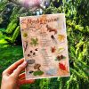 LAS - Lista skarbów jesiennych