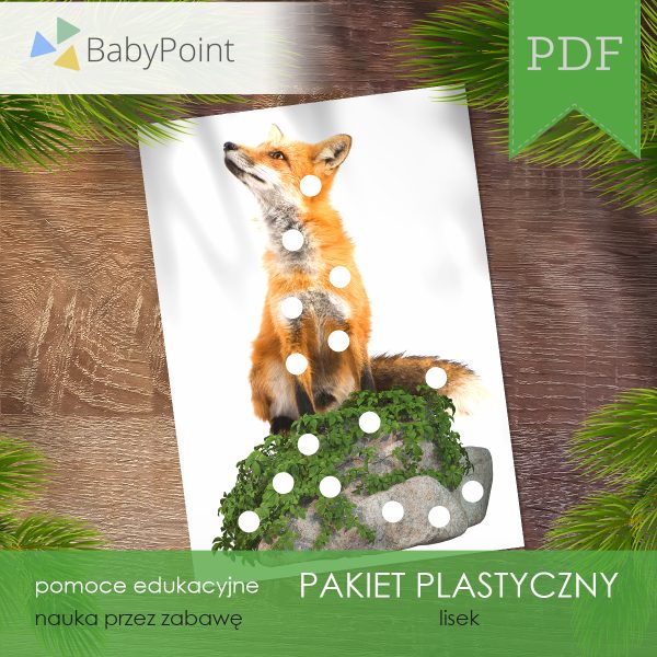 Pakiet plastyczny - LISEK