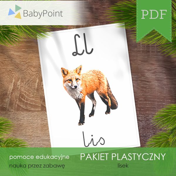 Pakiet plastyczny - LISEK