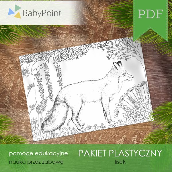 Pakiet plastyczny - LISEK
