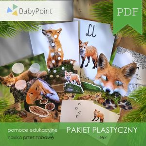 Pakiet plastyczny - LISEK