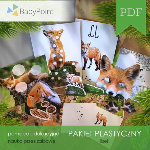 Pakiet plastyczny - LISEK