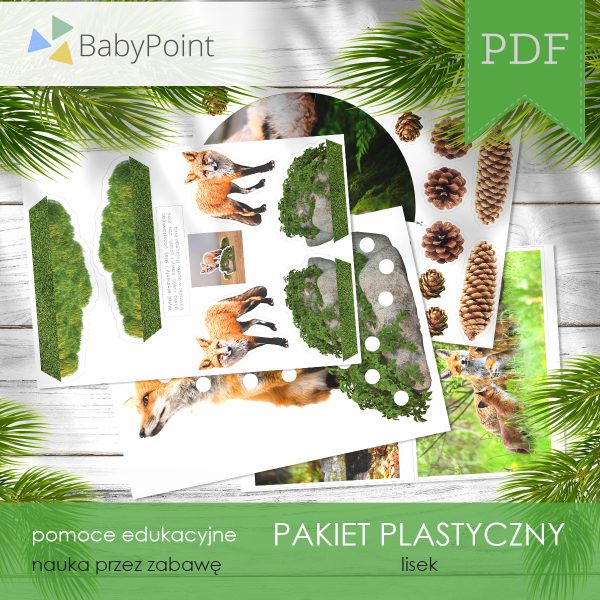 Pakiet plastyczny - LISEK