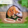 Pakiet plastyczny - LISEK