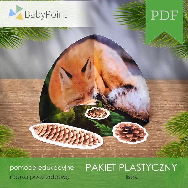 Pakiet plastyczny - LISEK