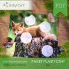 Pakiet plastyczny - LISEK