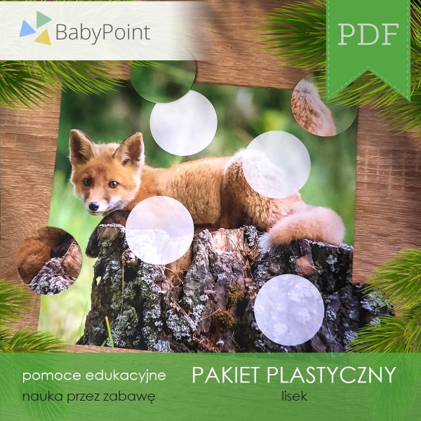 Pakiet plastyczny - LISEK