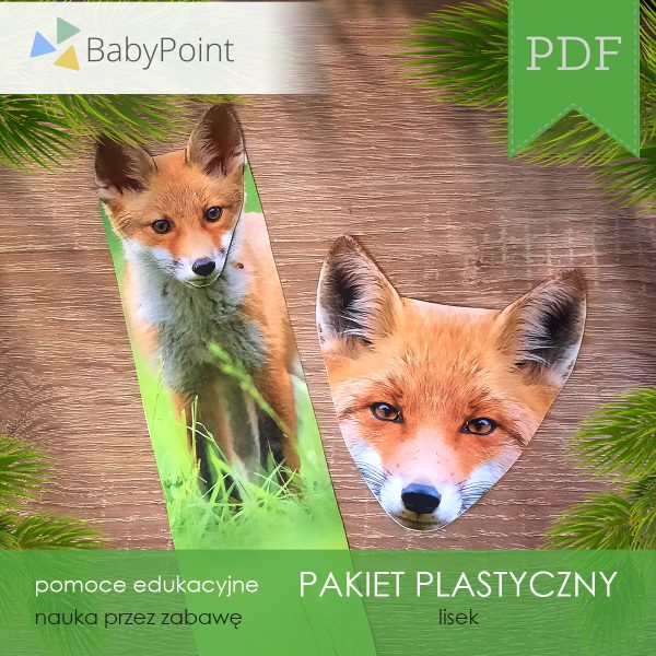 Pakiet plastyczny - LISEK