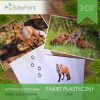 Pakiet plastyczny - LISEK