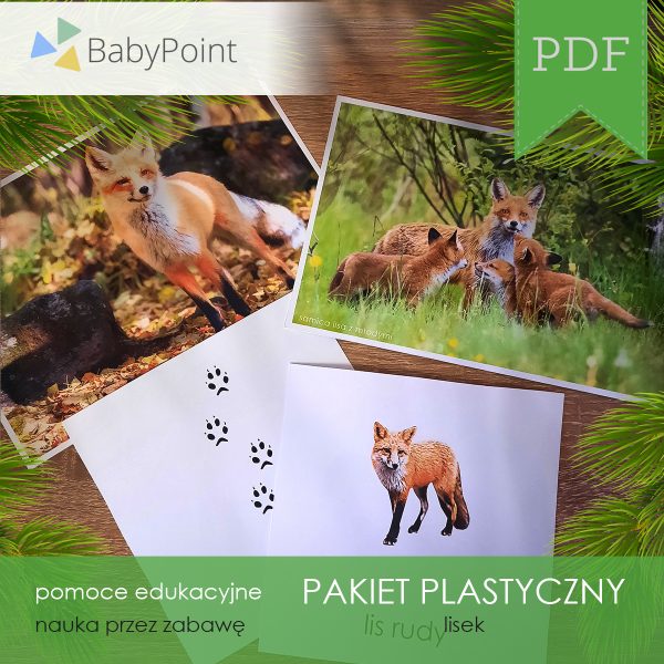 Pakiet plastyczny - LISEK