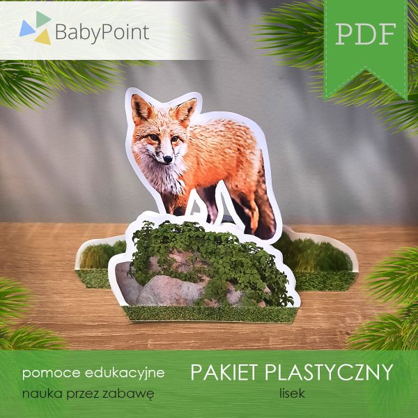 Pakiet plastyczny - LISEK