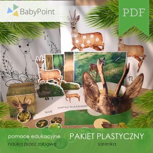 Pakiet plastyczny - SARENKA