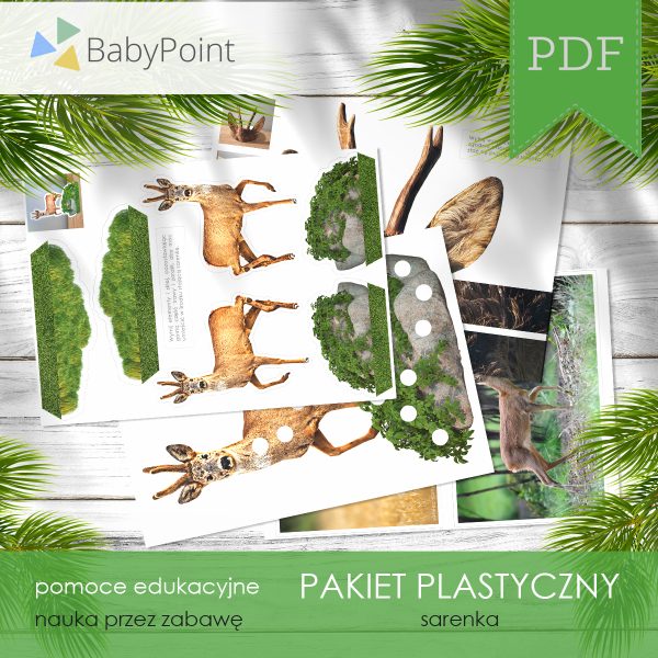 Pakiet plastyczny - SARENKA