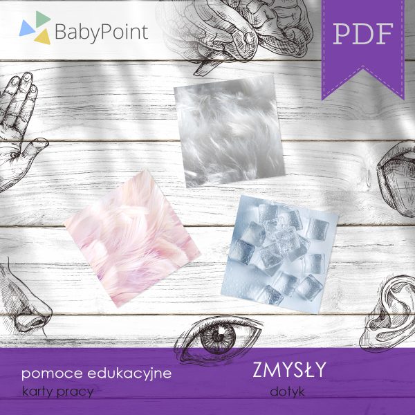 ZMYSŁY - Zestaw edukacyjny 3D