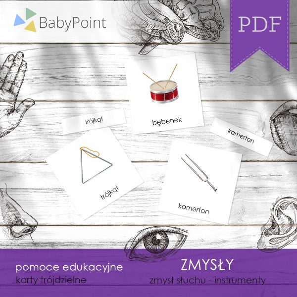 ZMYSŁY - Zestaw edukacyjny 3D
