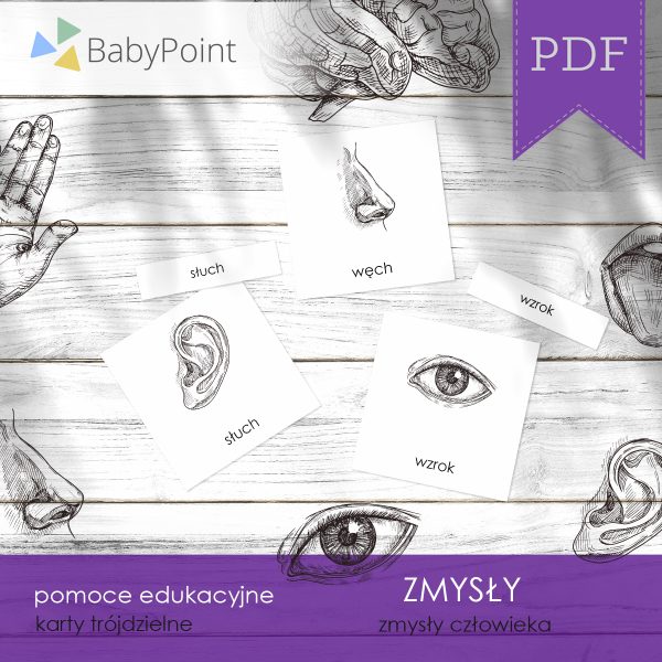 ZMYSŁY - Zestaw edukacyjny 3D