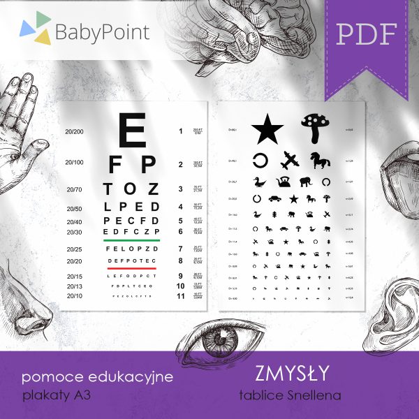 ZMYSŁY - Zestaw edukacyjny 3D