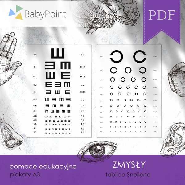 ZMYSŁY - Zestaw edukacyjny 3D