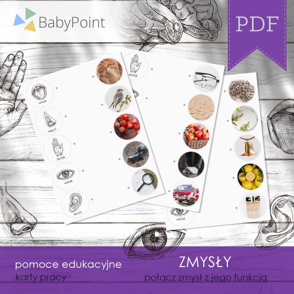 ZMYSŁY - Zestaw edukacyjny 3D