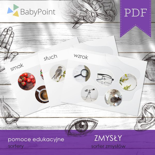 ZMYSŁY - Zestaw edukacyjny 3D