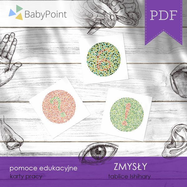 ZMYSŁY - Zestaw edukacyjny 3D