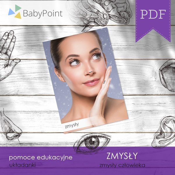 ZMYSŁY - Zestaw edukacyjny 3D