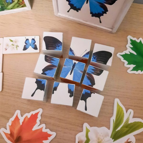 PORY ROKU - Zestaw edukacyjny 3D