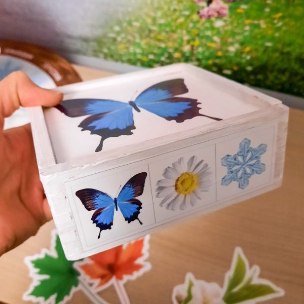 PORY ROKU - Zestaw edukacyjny 3D