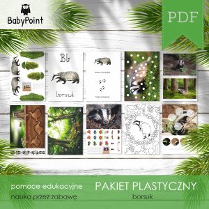 BORSUK - Pakiet plastyczny