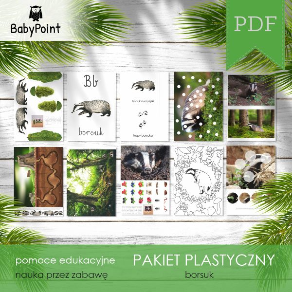 BORSUK - Pakiet plastyczny
