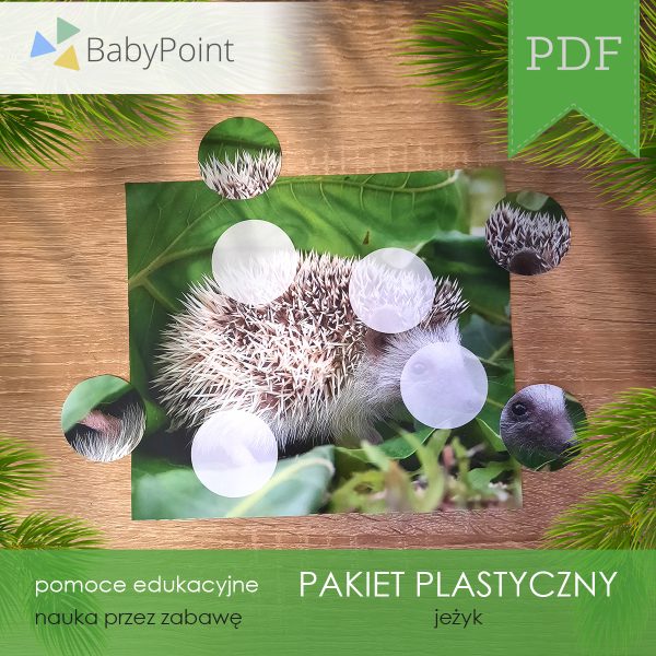 PAKIET PLASTYCZNY - Jeżyk