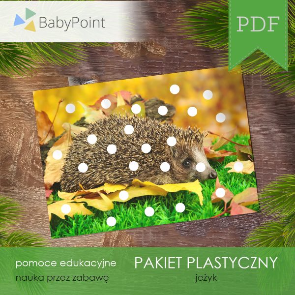 PAKIET PLASTYCZNY - Jeżyk