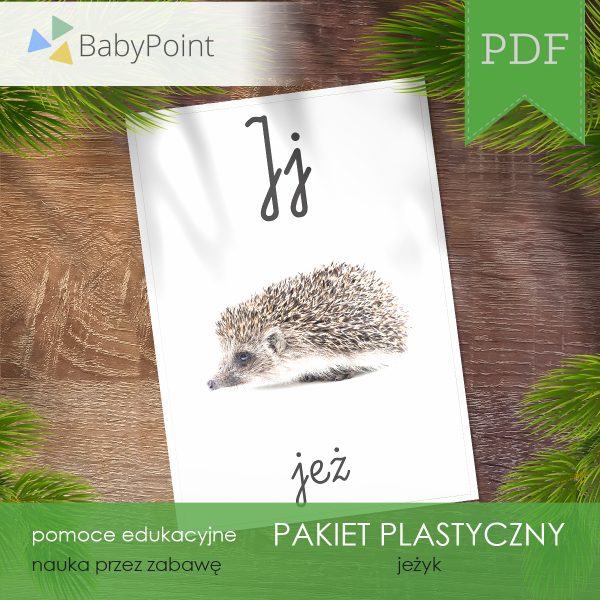PAKIET PLASTYCZNY - Jeżyk