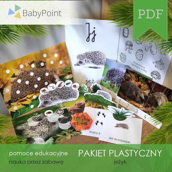 PAKIET PLASTYCZNY - Jeżyk