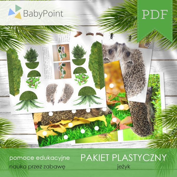 PAKIET PLASTYCZNY - Jeżyk