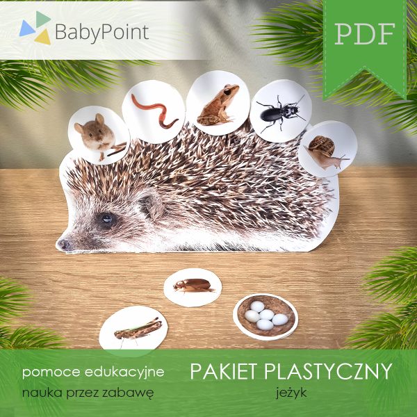 PAKIET PLASTYCZNY - Jeżyk