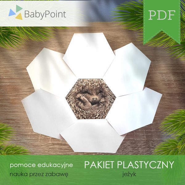 PAKIET PLASTYCZNY - Jeżyk