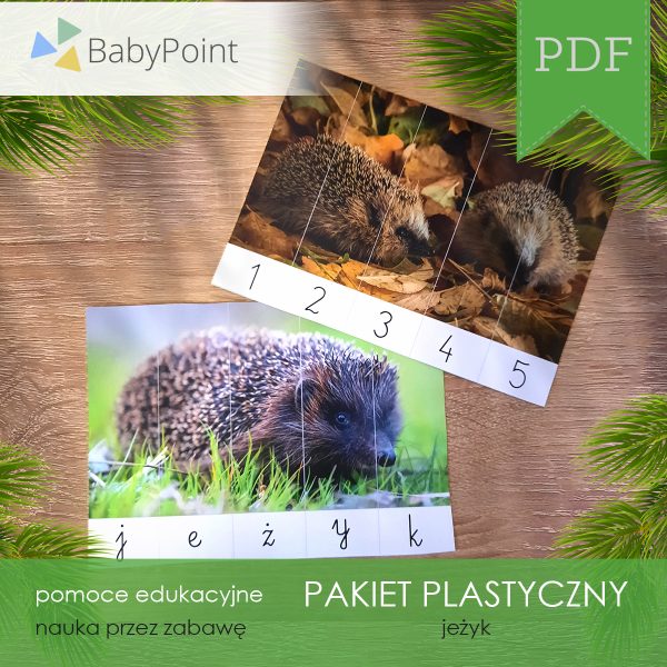 PAKIET PLASTYCZNY - Jeżyk