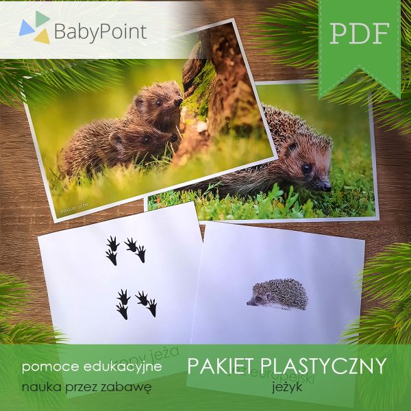 PAKIET PLASTYCZNY - Jeżyk