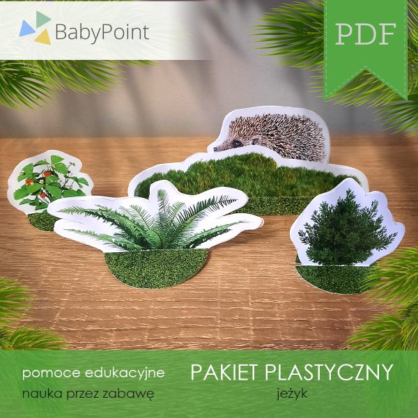 PAKIET PLASTYCZNY - Jeżyk