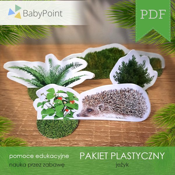 PAKIET PLASTYCZNY - Jeżyk