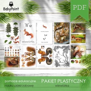 WIEWIÓRKA - Pakiet plastyczny