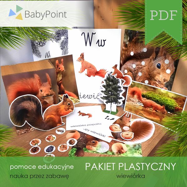 PAKIET-PLASTYCZNY-Wiewiorka-Vis1