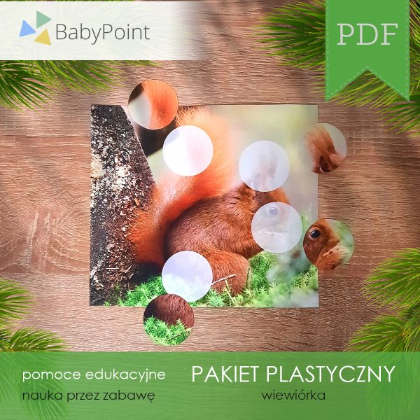 PAKIET-PLASTYCZNY-Wiewiorka-Vis1