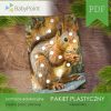 PAKIET-PLASTYCZNY-Wiewiorka-Vis1